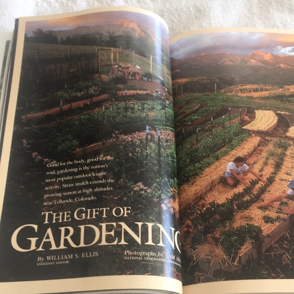 National Geographic Vol. 181 No. 5 May 1992 - Picture 11 of 14